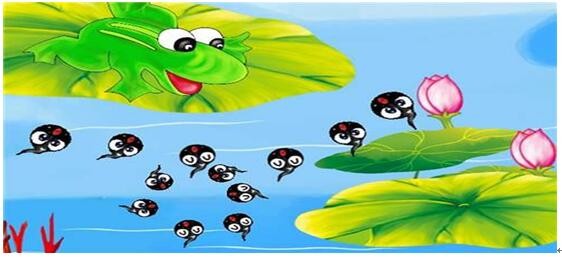 TIM截图20200514161344.jpg