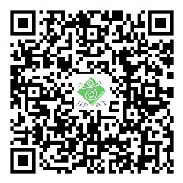 喜鹊报春.png