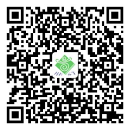 衍纸《郁金香》.png